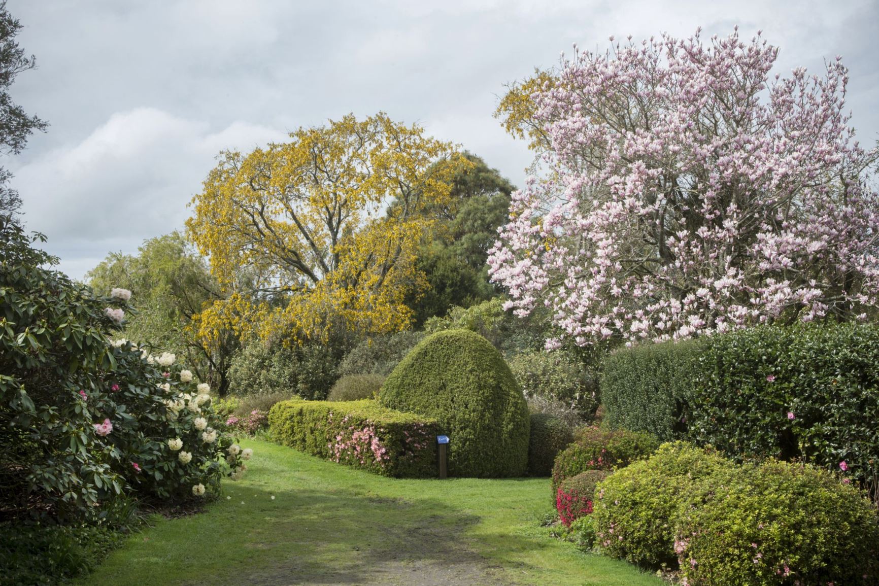 Picture from the garden