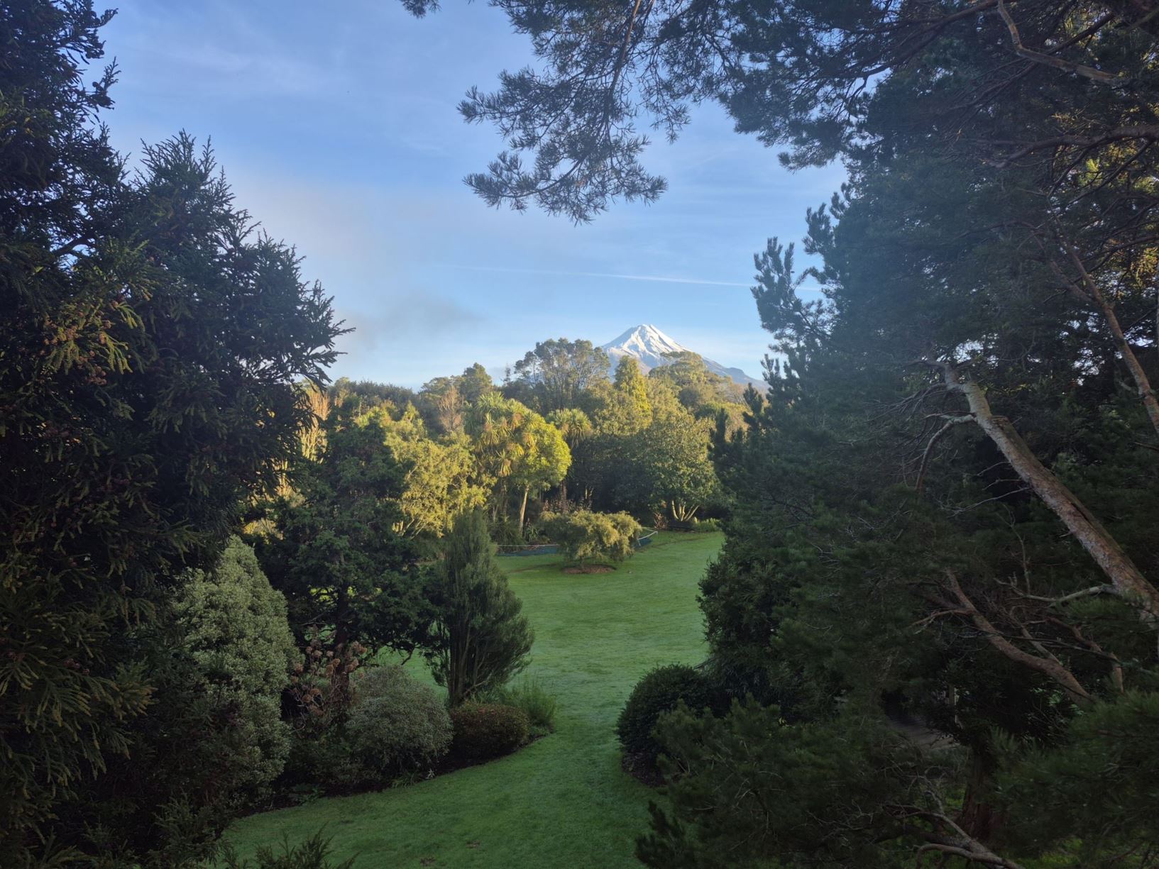 Picture from the garden